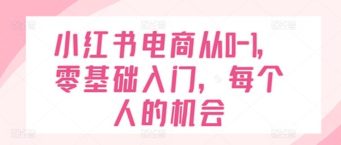 小红书电商从0-1，零基础入门，每个人的机会-万象聊项目
