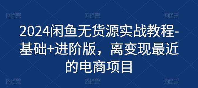 2024闲鱼无货源实战教程-基础+进阶版，离变现最近的电商项目-万象聊项目