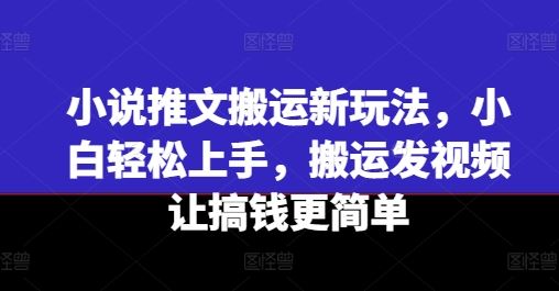 小说推文搬运新玩法，小白轻松上手，搬运发视频让搞钱更简单-万象聊项目