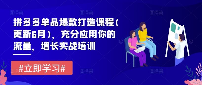 拼多多单品爆款打造课程(更新6月)，充分应用你的流量，增长实战培训-万象聊项目