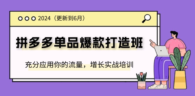 （11556期）2024拼多多-单品爆款打造班(更新6月)，充分应用你的流量，增长实战培训-万象聊项目