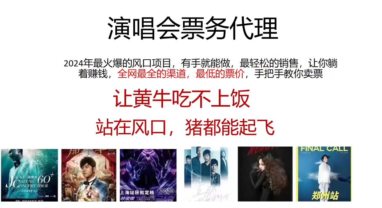 （11561期）2024演唱会低价票务代理，全网最低的票价，手把手教你卖票，日入2000+-万象聊项目