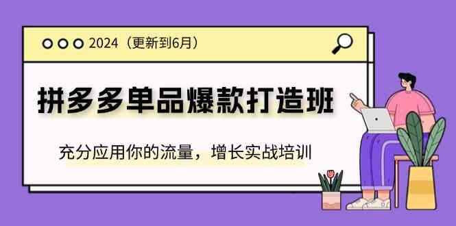 2024拼多多单品爆款打造班，充分应用你的流量，增长实战培训(更新6月)-万象聊项目