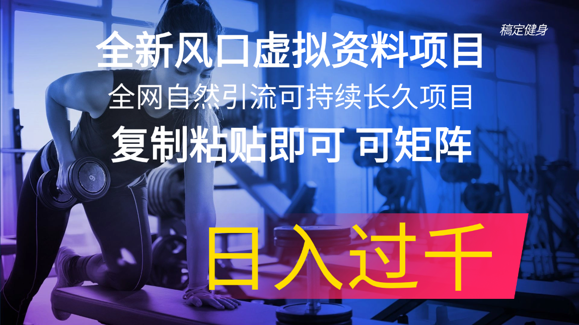 （11587期）全新风口虚拟资料项目 全网自然引流可持续长久项目 复制粘贴即可可矩阵…-万象聊项目