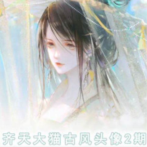 齐天大猫古风头像课第2期，帮助您提高您的绘画技能-万象聊项目
