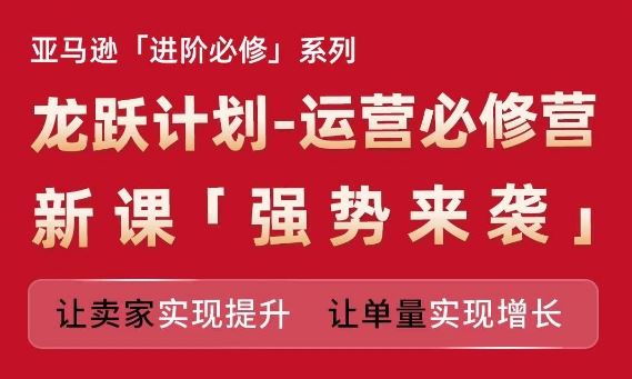 亚马逊进阶必修系列，龙跃计划-运营必修营新课，让卖家实现提升 让单量实现增长-万象聊项目