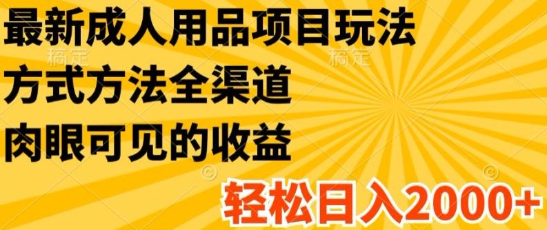 最新成人用品项目玩法，方式方法全渠道，轻松日入2K+【揭秘】-万象聊项目