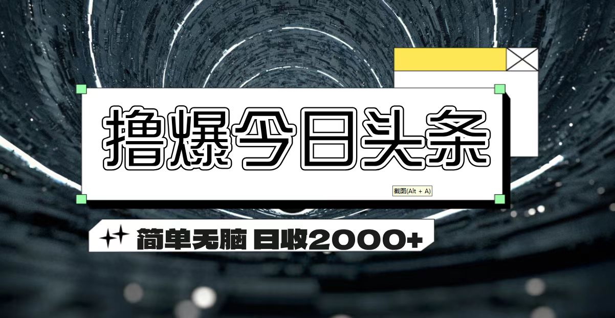 （11665期）撸爆今日头条 简单无脑操作 日收2000+-万象聊项目
