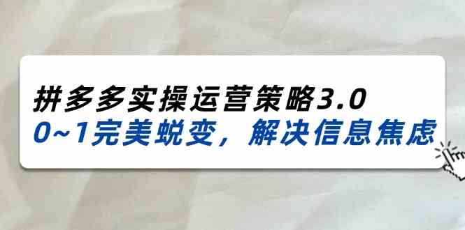 2024-2025拼多多实操运营策略3.0，0~1完美蜕变，解决信息焦虑（38节）-万象聊项目