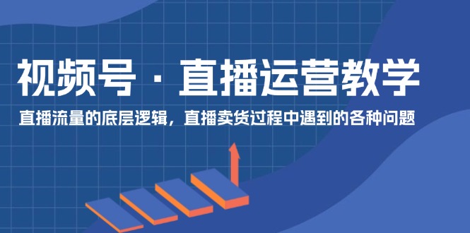 （11687期）视频号 直播运营教学：直播流量的底层逻辑，直播卖货过程中遇到的各种问题-万象聊项目