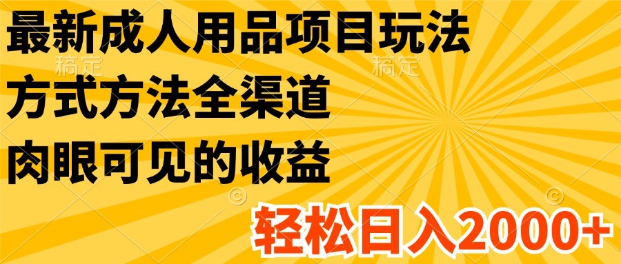 最新成人用品项目玩法，方式方法全渠道，肉眼可见的收益，轻松日入2000+-万象聊项目