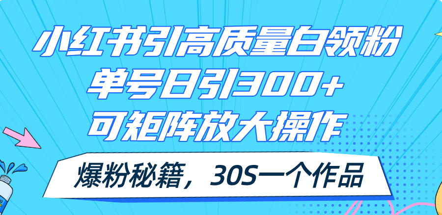 （11692期）小红书引高质量白领粉，单号日引300+，可放大操作，爆粉秘籍！30s一个作品-万象聊项目