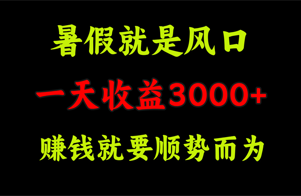 （11670期）一天收益3000+ 赚钱就是顺势而为，暑假就是风口-万象聊项目