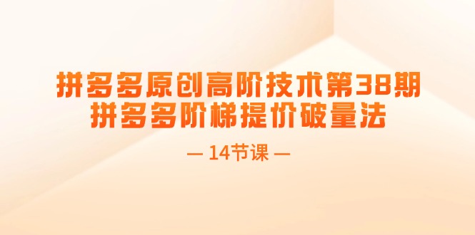（11704期）拼多多原创高阶技术第38期，拼多多阶梯提价破量法（14节课）-万象聊项目