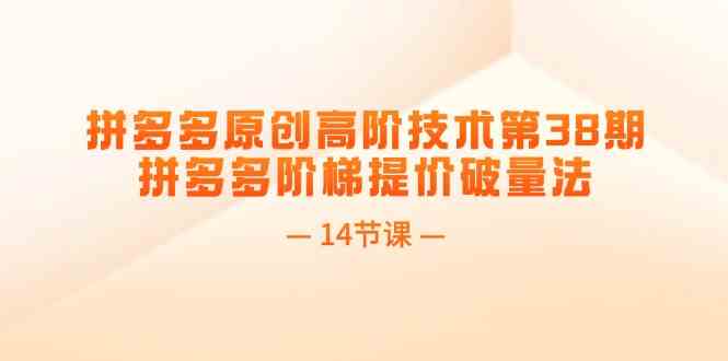 拼多多原创高阶技术第38期，拼多多阶梯提价破量法（14节课）-万象聊项目