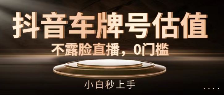 抖音车牌号估值，不露脸直播，0门槛，小白秒上手【揭秘】-万象聊项目