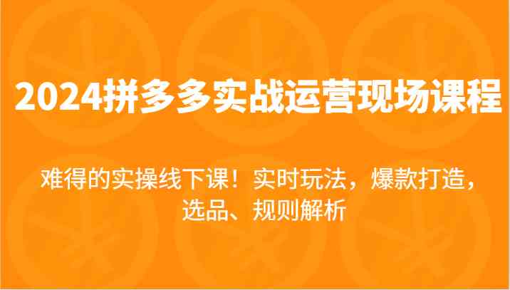 2024拼多多实战运营现场课，实时玩法，爆款打造，选品、规则解析，难得的实操线下课！-万象聊项目