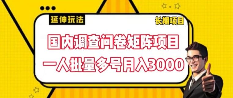 国内调查问卷矩阵项目，一人批量多号月入3000【揭秘】-万象聊项目