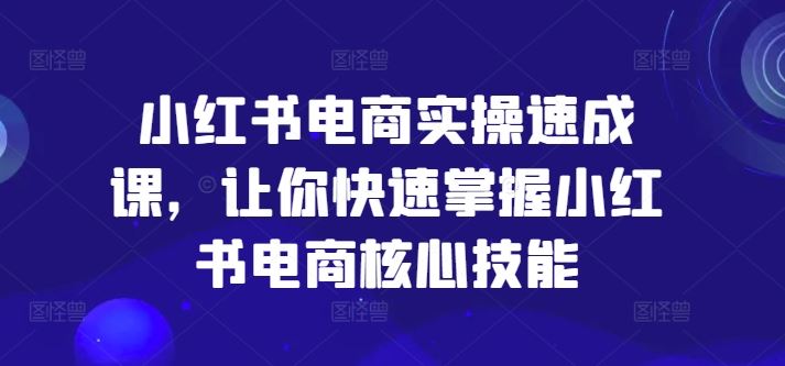 小红书电商实操速成课，让你快速掌握小红书电商核心技能-万象聊项目