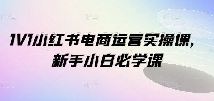 1V1小红书电商运营实操课，新手小白必学课-万象聊项目
