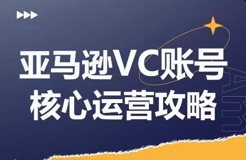亚马逊VC账号核心玩法解析，实战经验拆解产品模块运营技巧，提升店铺GMV，有效提升运营利润-万象聊项目