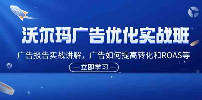 沃尔玛广告优化实战班，广告报告实战讲解，广告如何提高转化和ROAS等-万象聊项目