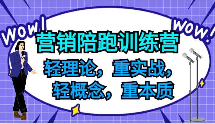 营销陪跑训练营，轻理论，重实战，轻概念，重本质，适合中小企业和初创企业的老板-万象聊项目