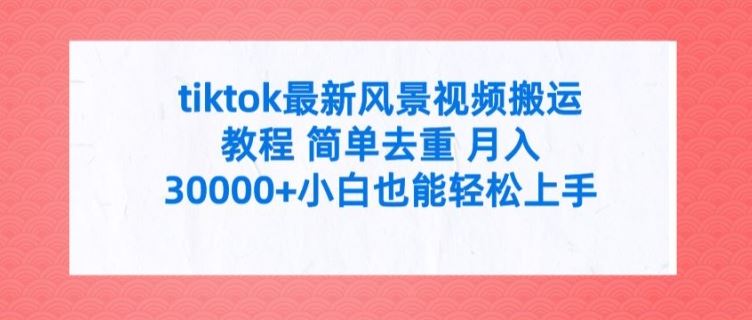 tiktok最新风景视频搬运教程 简单去重 月入3W+小白也能轻松上手【揭秘】-万象聊项目