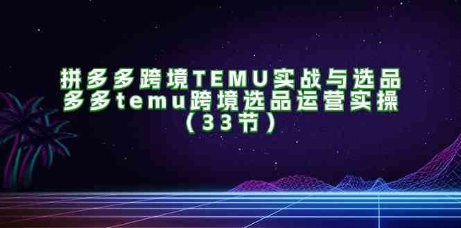 拼多多跨境TEMU实战与选品，多多temu跨境选品运营实操（33节）-万象聊项目