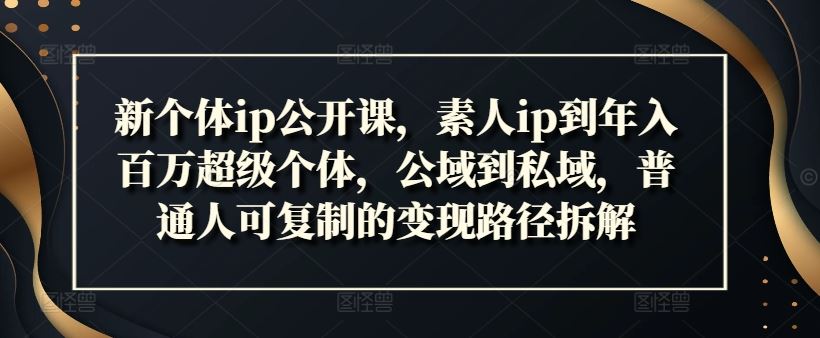 新个体ip公开课，素人ip到年入百万超级个体，公域到私域，普通人可复制的变现路径拆解-万象聊项目