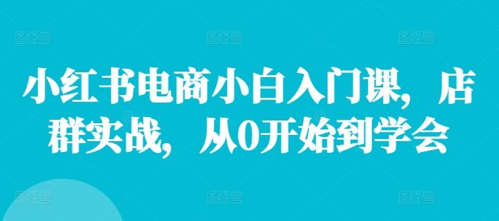 小红书电商小白入门课，店群实战，从0开始到学会-万象聊项目
