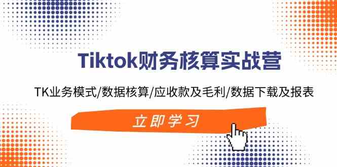Tiktok财务核算实战营：TK业务模式/数据核算/应收款及毛利/数据下载及报表-万象聊项目