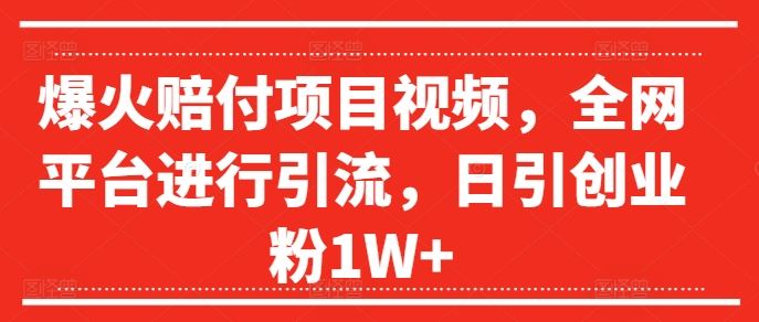 爆火赔付项目视频，全网平台进行引流，日引创业粉1W+【揭秘】-万象聊项目