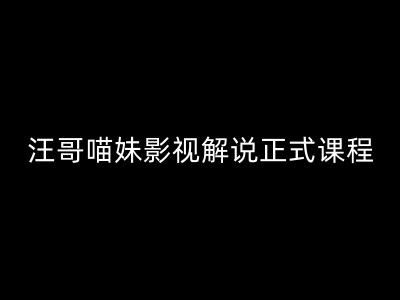 汪哥影视解说正式课程：剪映/PR教学/视解说剪辑5大黄金法则/全流程剪辑7把利器等等-万象聊项目