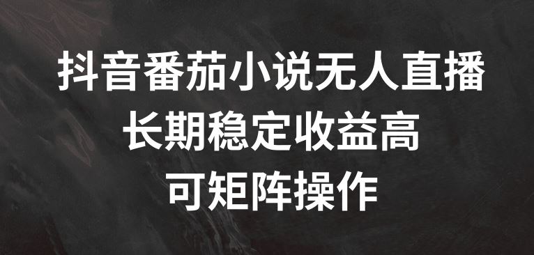 抖音番茄小说无人直播，长期稳定收益高，可矩阵操作【揭秘】-万象聊项目