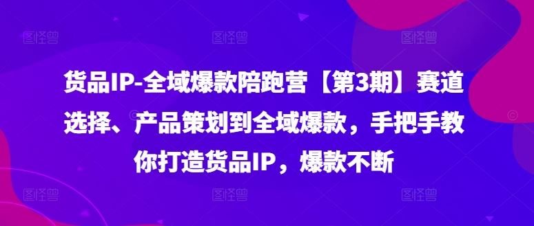 货品IP全域爆款陪跑营【第3期】赛道选择、产品策划到全域爆款，手把手教你打造货品IP，爆款不断-万象聊项目