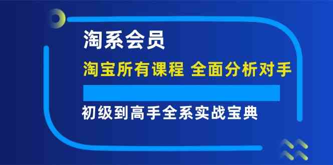 淘系会员初级到高手全系实战宝典【淘宝所有课程，全面分析对手】-万象聊项目