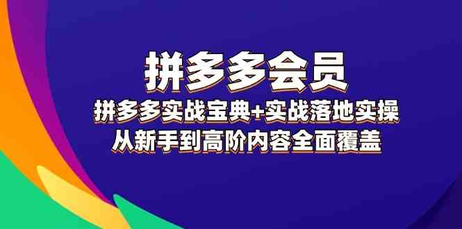 拼多多会员实战宝典+实战落地实操，从新手到高阶内容全面覆盖-万象聊项目