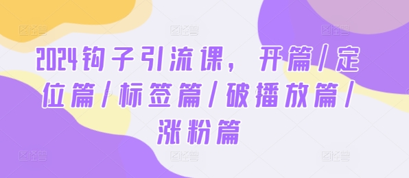 2024钩子引流课，开篇/定位篇/标签篇/破播放篇/涨粉篇-万象聊项目