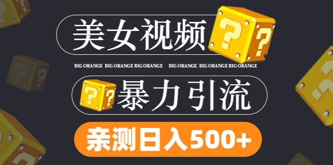 搬运tk美女视频全网分发，日引s粉300+，轻松变现，不限流量不封号-万象聊项目