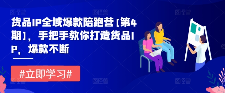 货品IP全域爆款陪跑营【第4期】，手把手教你打造货品IP，爆款不断-万象聊项目