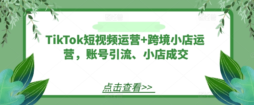 TikTok短视频运营+跨境小店运营，账号引流、小店成交-万象聊项目