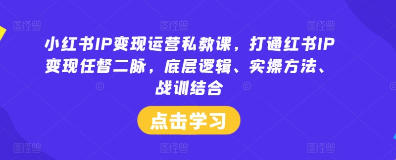 小红书IP变现运营私教课，打通红书IP变现任督二脉，底层逻辑、实操方法、战训结合-万象聊项目
