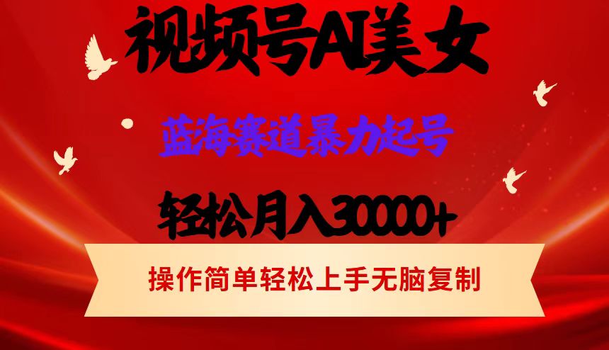 （12178期）视频号AI美女跳舞，轻松月入30000+，蓝海赛道，流量池巨大，起号猛，当…-万象聊项目