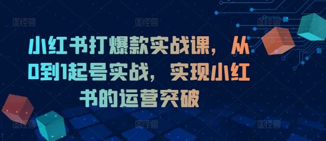 小红书打爆款实战课，从0到1起号实战，实现小红书的运营突破-万象聊项目