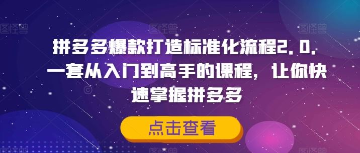 拼多多爆款打造标准化流程2.0，一套从入门到高手的课程，让你快速掌握拼多多-万象聊项目
