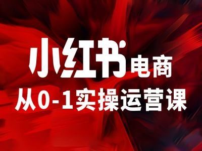 小红书电商从0-1实操运营课，让你从小白到精英-万象聊项目