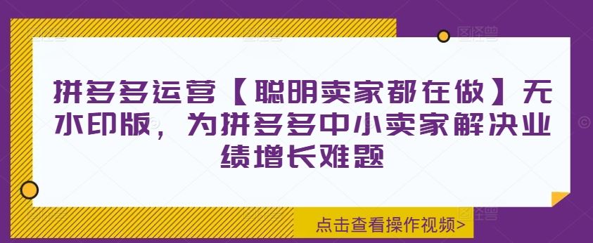 拼多多运营【聪明卖家都在做】无水印版，为拼多多中小卖家解决业绩增长难题-万象聊项目