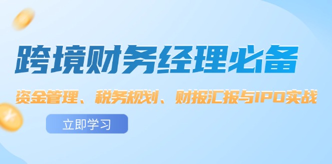 （12323期）跨境 财务经理必备：资金管理、税务规划、财报汇报与IPO实战-万象聊项目