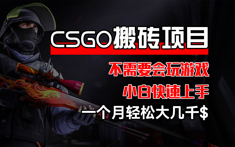 （12332期）CSGO 装备搬砖项目，操作简单，不需要会玩游戏，小白也能快速上手，一…-万象聊项目